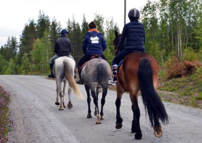 équitation sur un chemin lors d'un séjour été en laponie suédoise