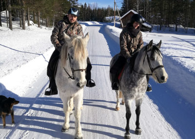 Promenade à cheval dans un village proche d'Älgbäck, chez nous en Laponie suédoise
