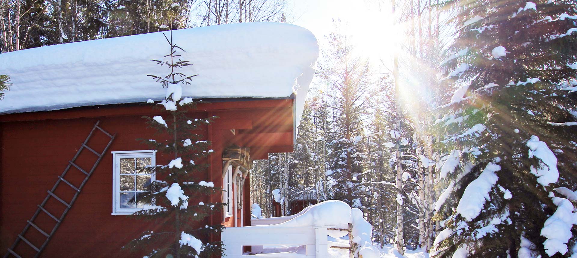Notre camp au coeur de la Laponie suédoise idéal pour un voyage chien de traîneau !