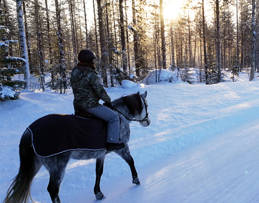 Lors d'une randonnée équestre en Laponie en hiver