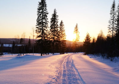 Coucher de soleil sur la piste et la forêt, terrain de jeu magique de nos glissades de la semaine