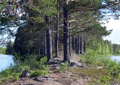 au beau milieu de la rivière Örån en Laponie suédoise